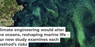 Phytoplankton blooms, seen by satellite in the Baltic Sea, pull carbon dioxide out of the atmosphere. European Space Agency via Flickr, CC BY-SA